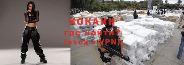 стафф Аркадак