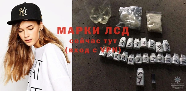 стафф Аркадак